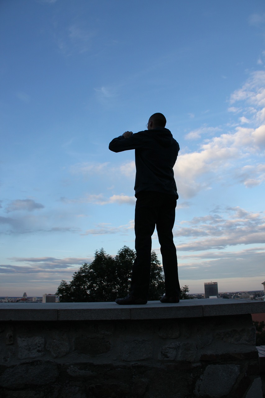 bratislava slovakia sculpture free photo