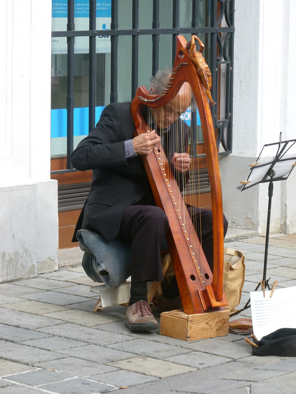 bratislava street musician harp free photo