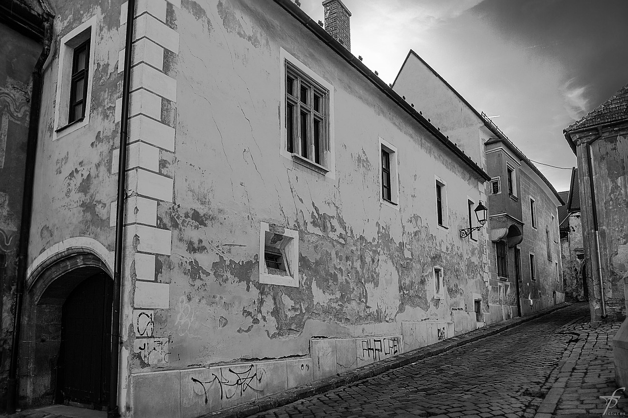 bratislava town historical free photo