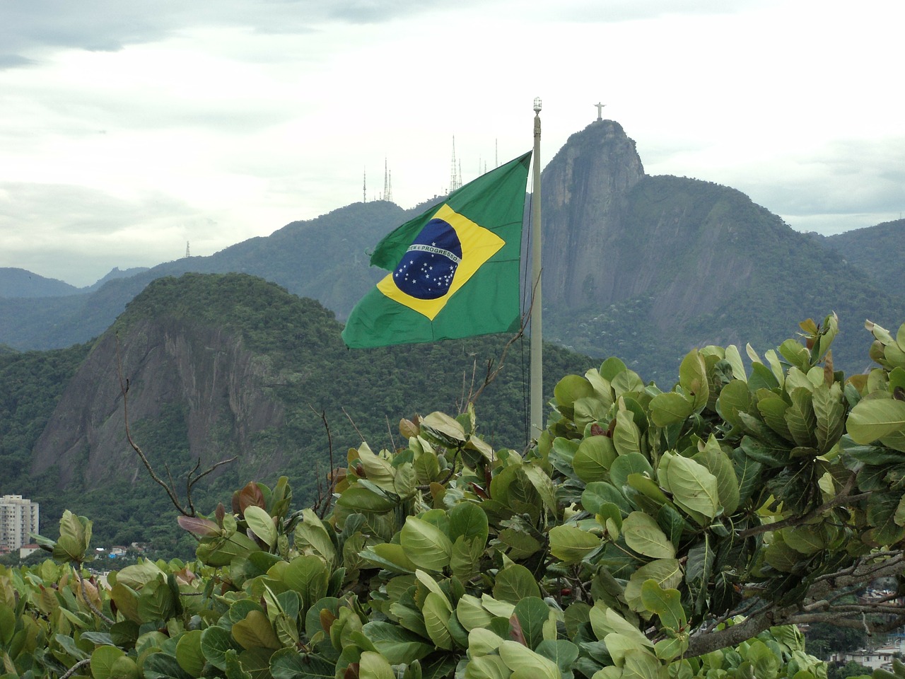 brazil flag green free photo