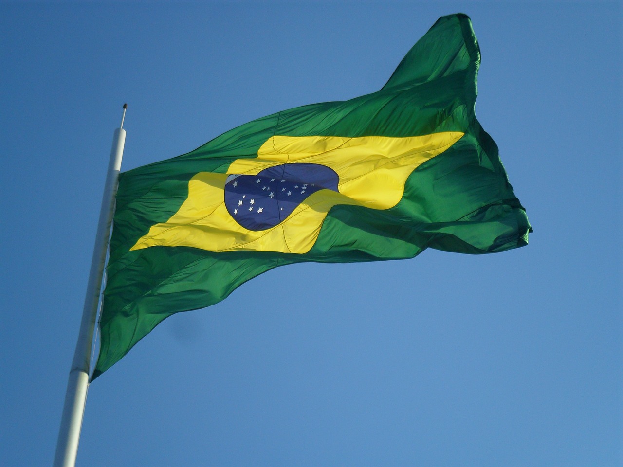 brazil flag green and yellow free photo