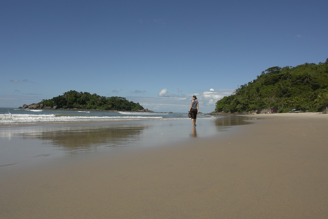 brazil beach sea free photo