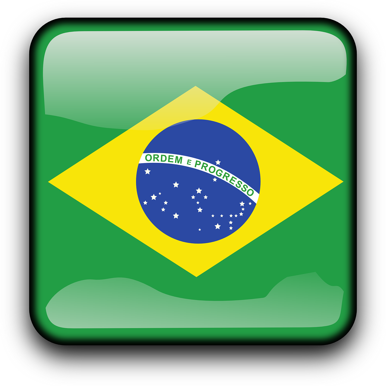 brazil flag country free photo