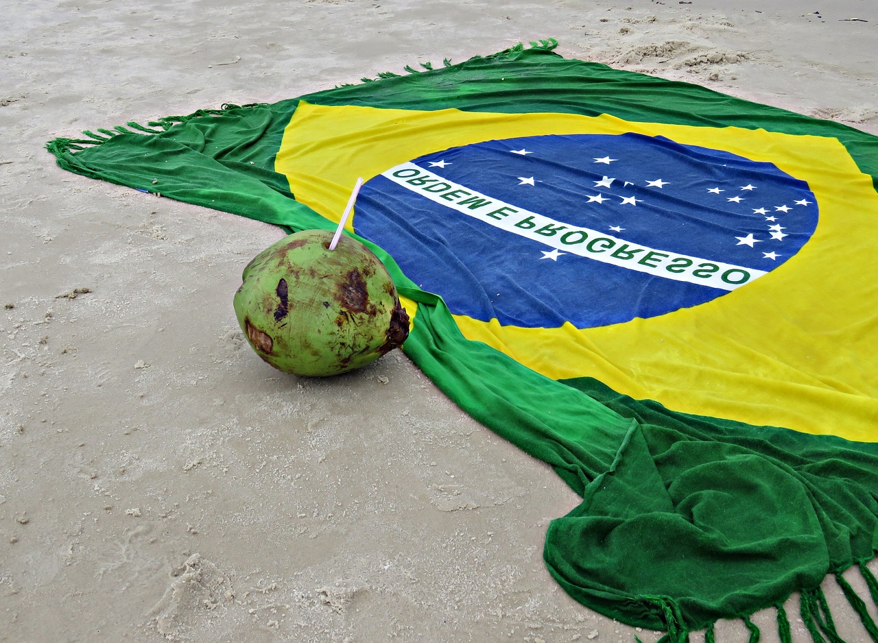 brazil beach coconut water free photo