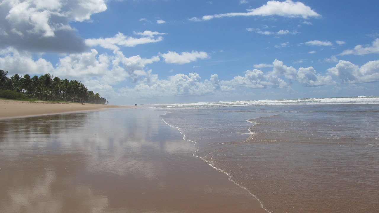 brazil praia-busca-vida salvador free photo