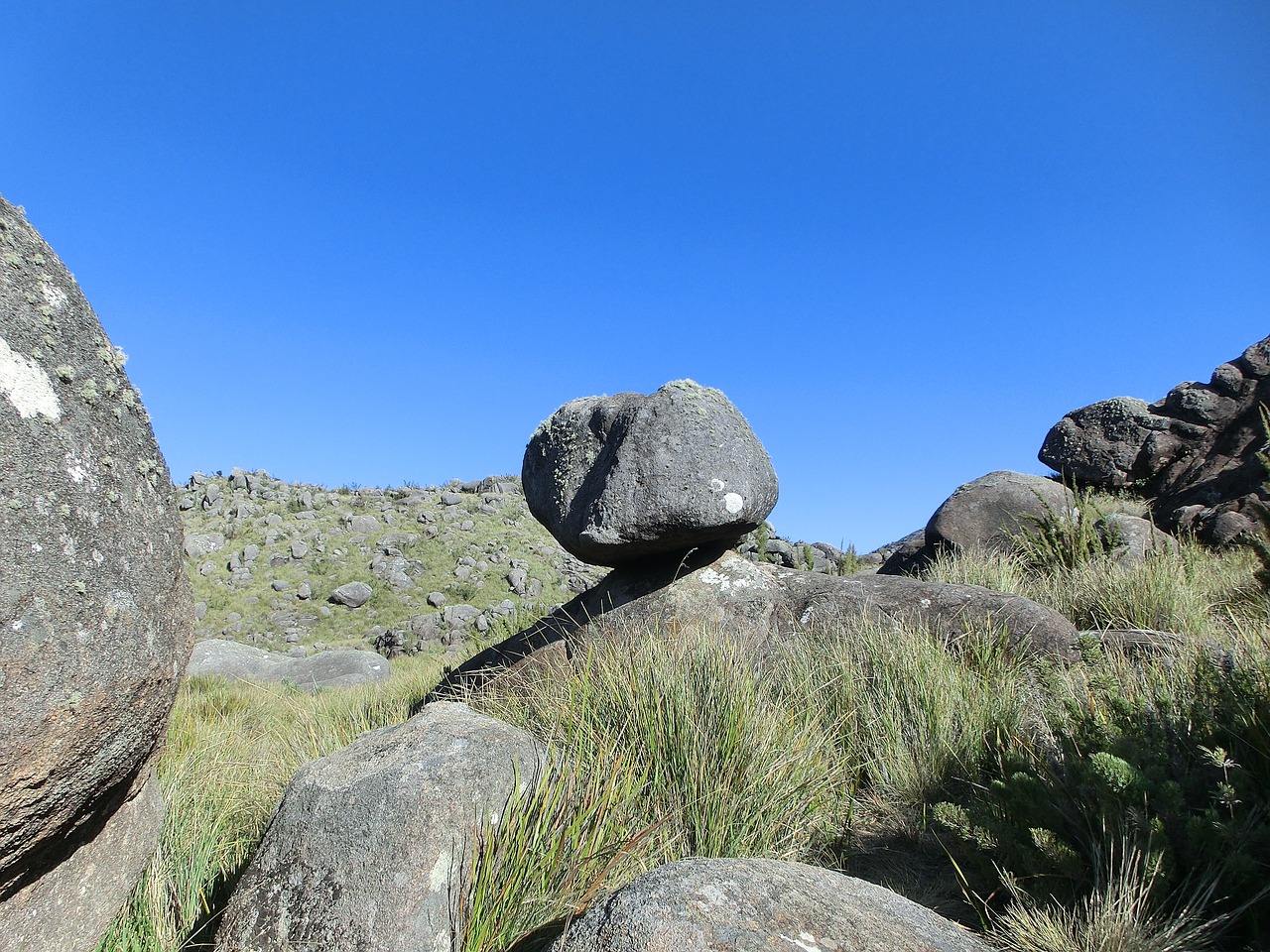 brazil  national park  itatiaia free photo