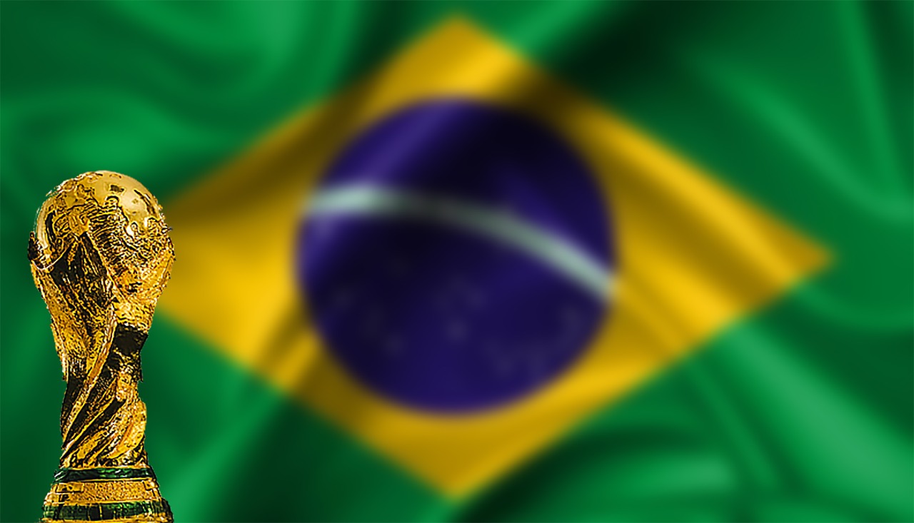 brazil  football  bowl free photo