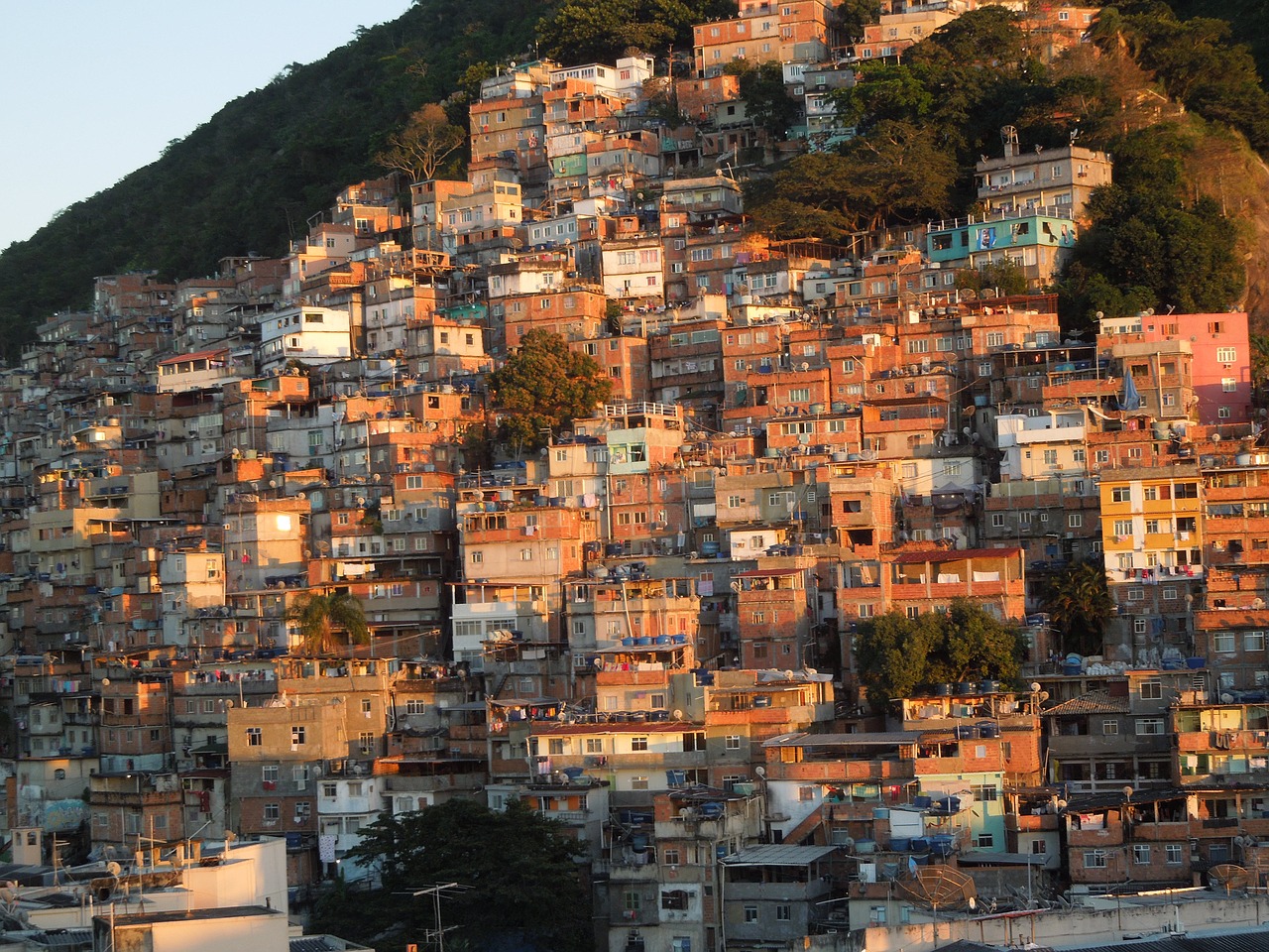 brazil  favela  slum free photo