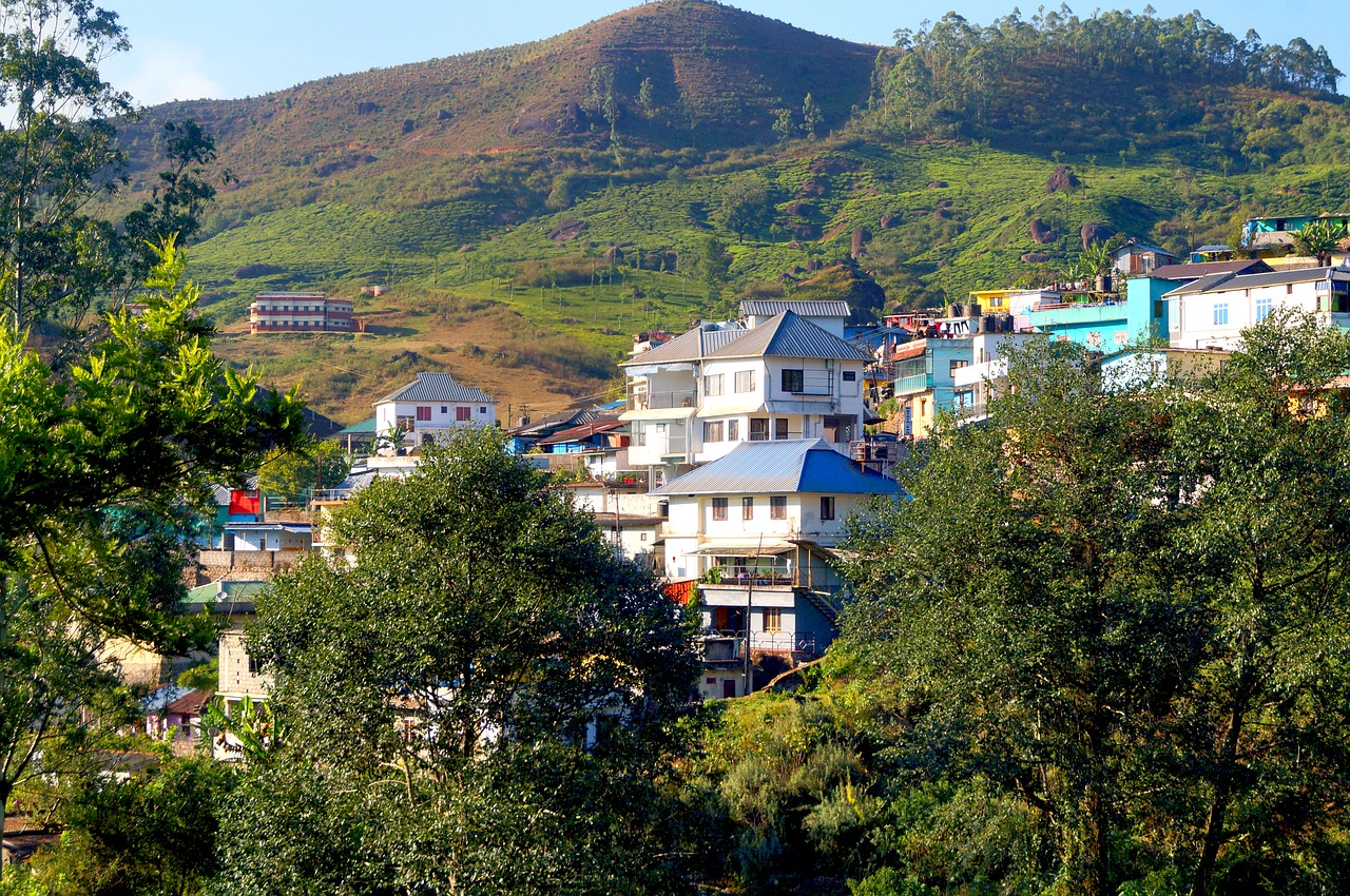 brazil  hill station house  tea estate free photo