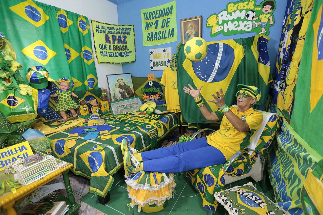 brazil fan football free photo