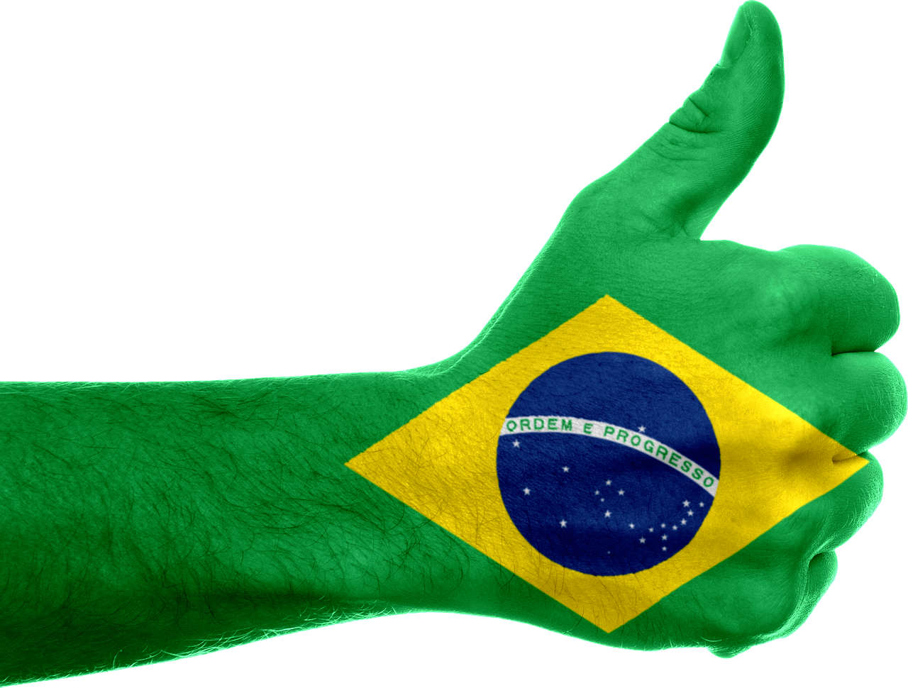 brazil flag hand free photo