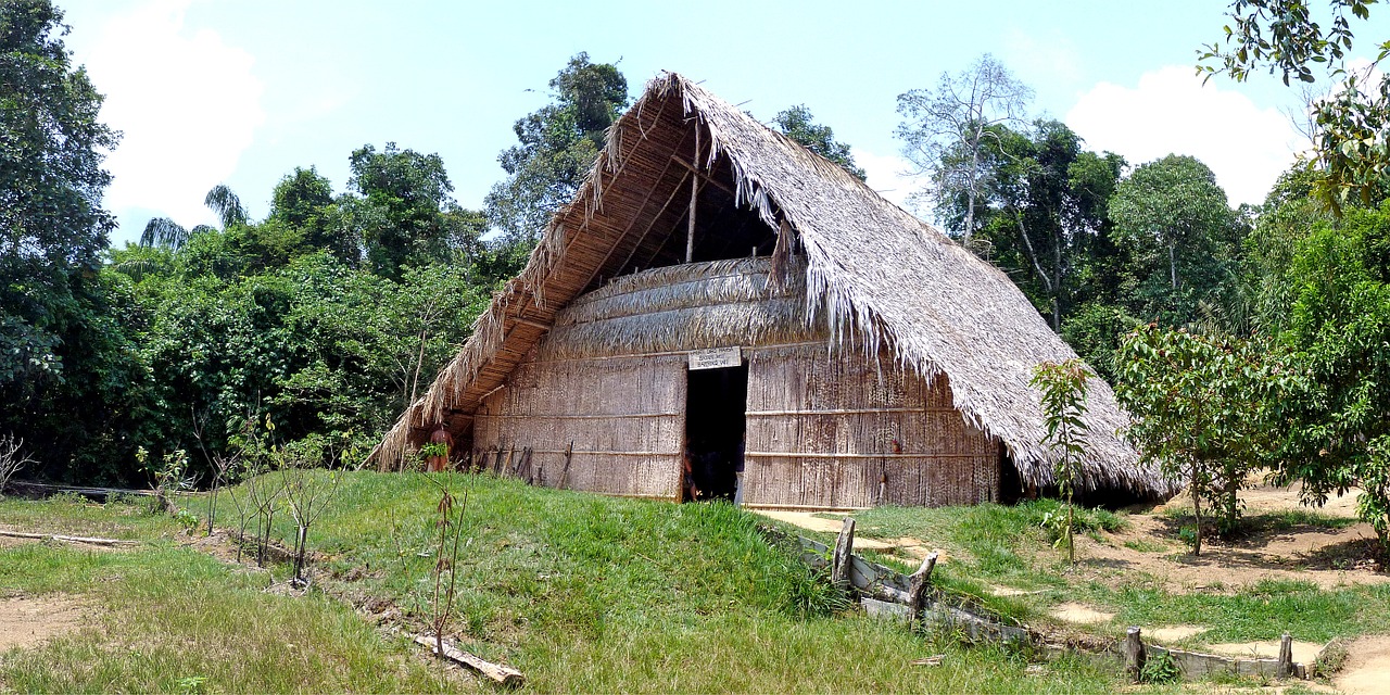 brazil rainforest nature free photo