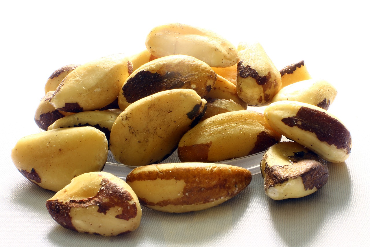 brazil nut brazil nuts-acre brazil nuts free photo