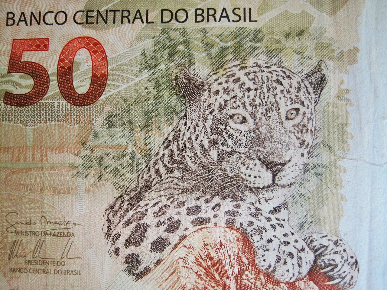 brazilian currency fifty real touch banknote free photo