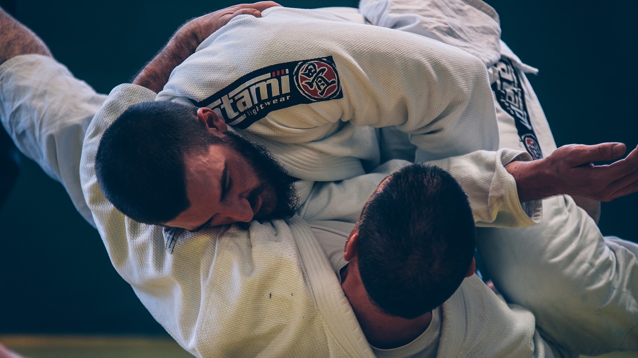 brazilian jiu-jitsu bjj combat free photo