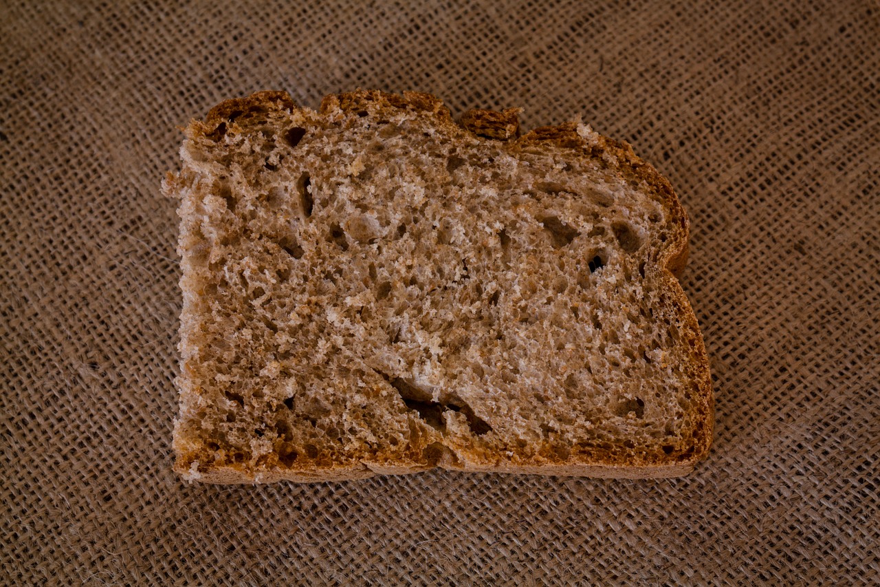 bread slice whole wheat free photo