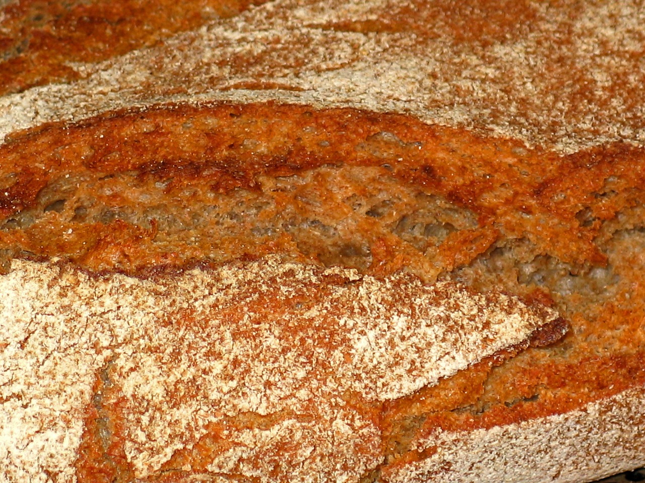 bread baked crispy free photo