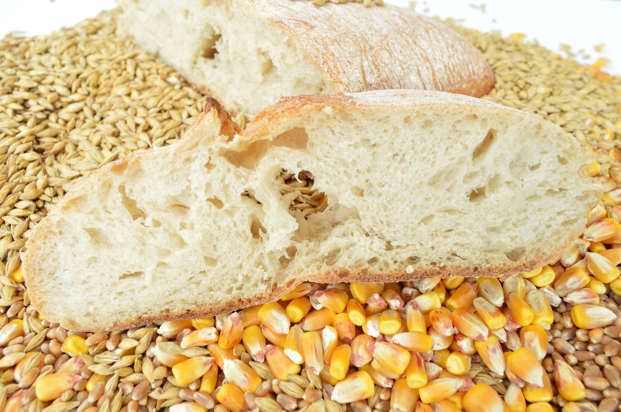 bread cereals wheat free photo