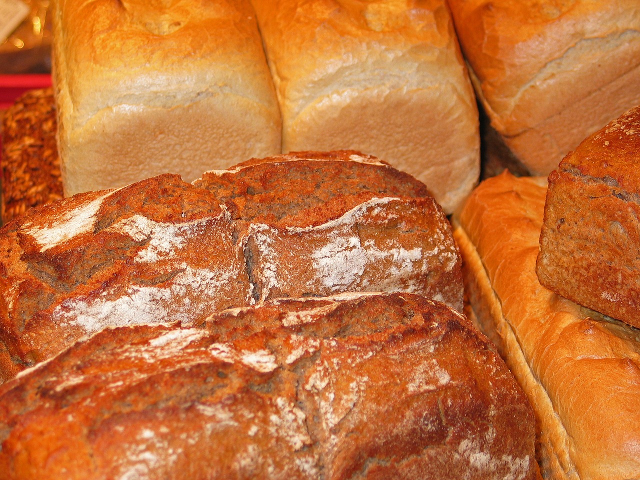 bread baker bake free photo