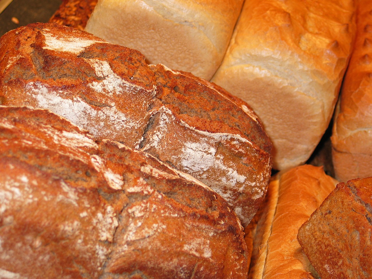bread baker bake free photo