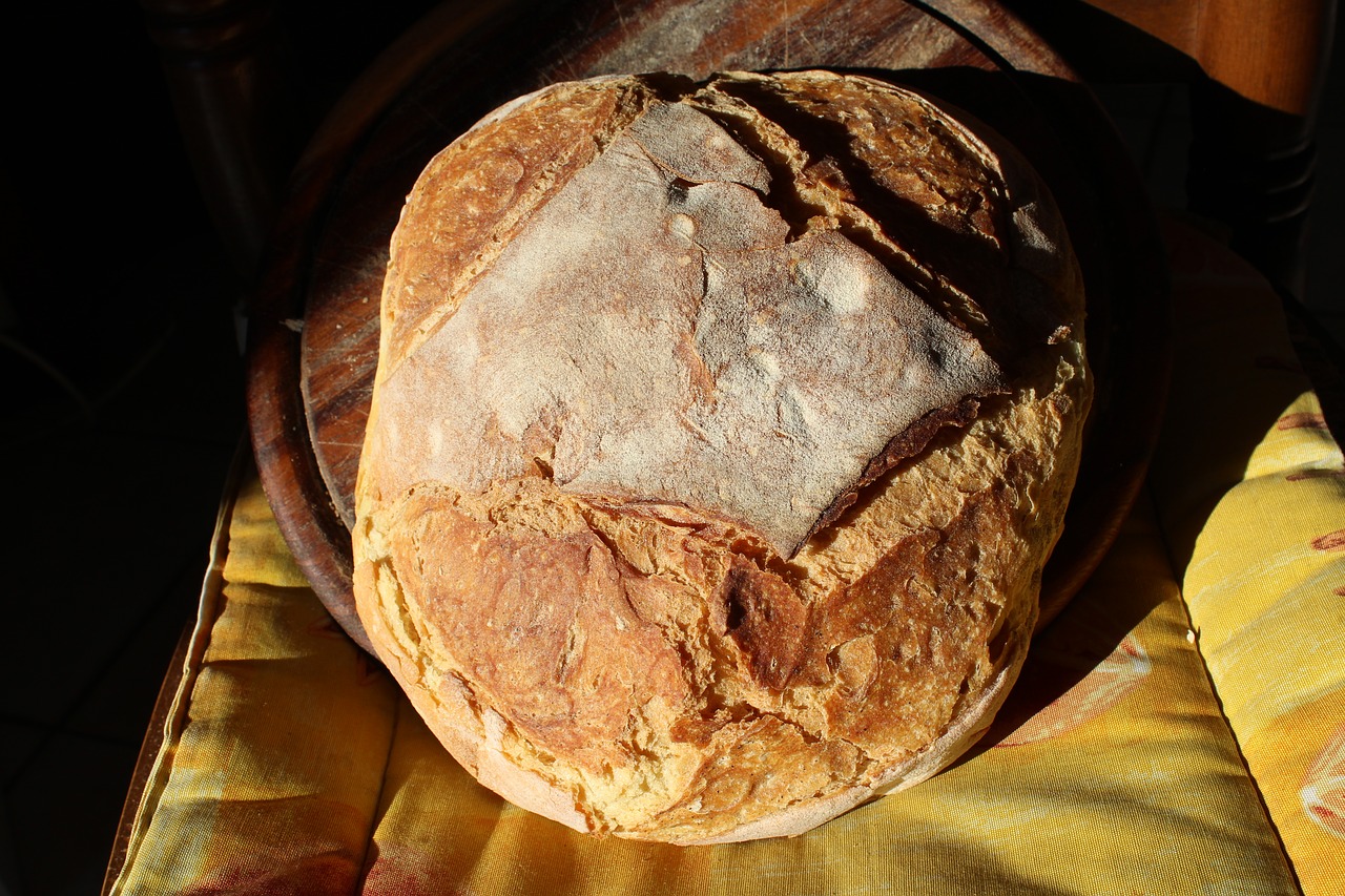 bread loaf pane di altamura free photo