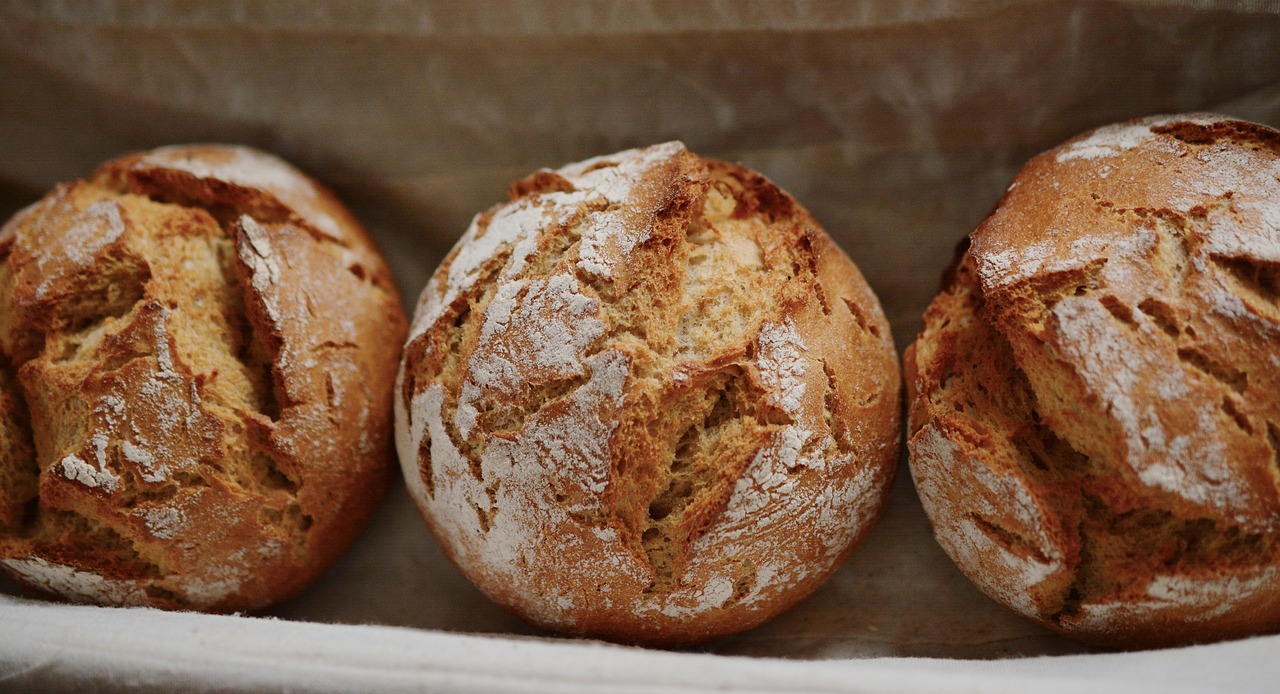 bread roll rye free photo