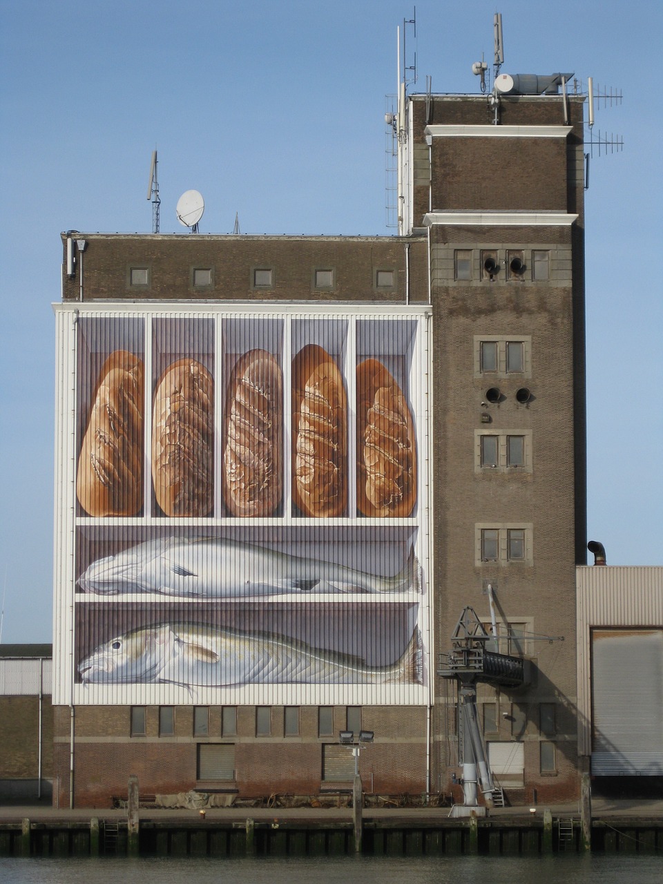 bread fish silo free photo