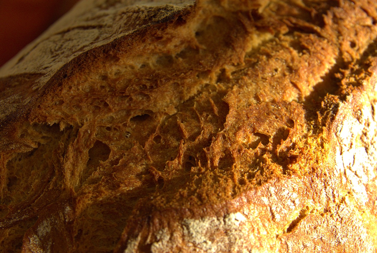 bread baker baked goods free photo
