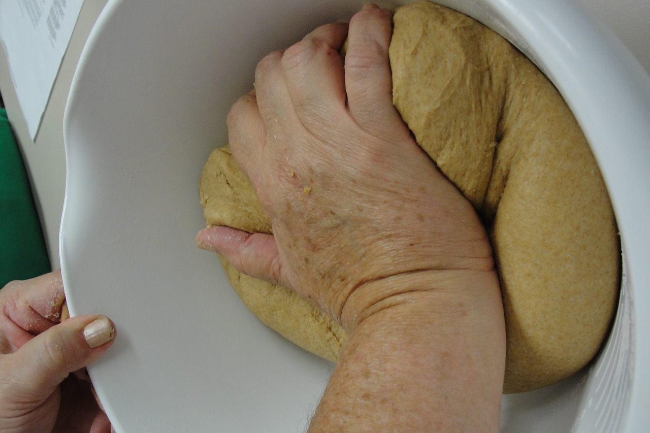 bread knead dough free photo