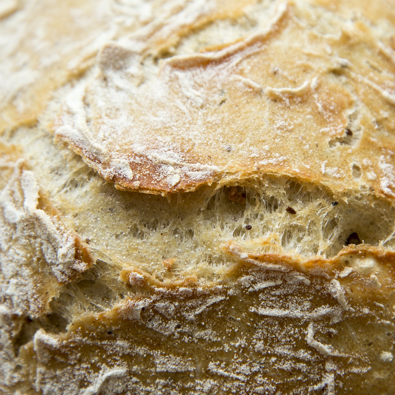 bread baking meal free photo