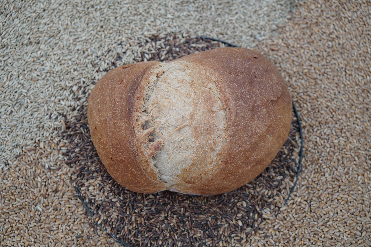 bread  grain  food free photo