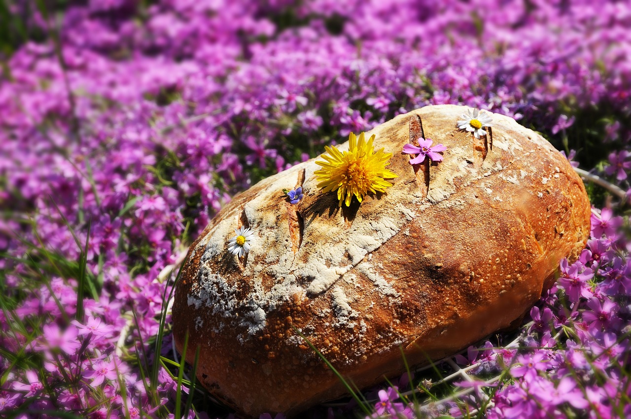 bread  home  sourdough free photo