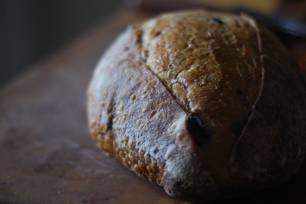 bread  artisan  bakery free photo