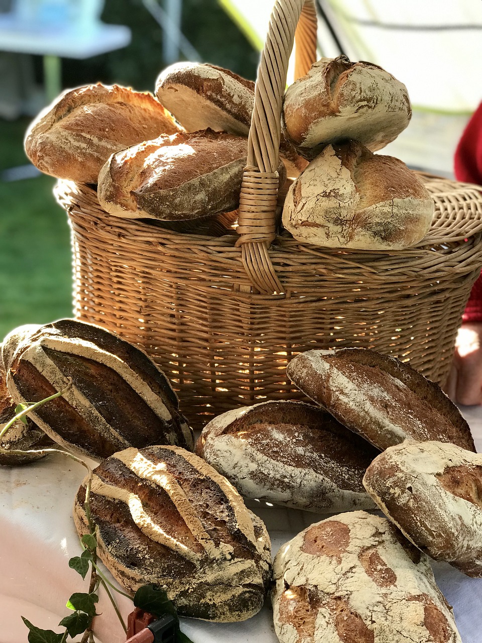 bread  basket  country free photo