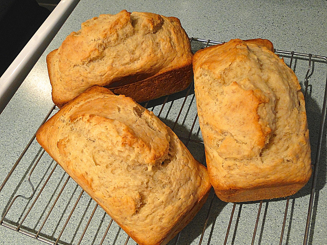 bread loaves homemade free photo