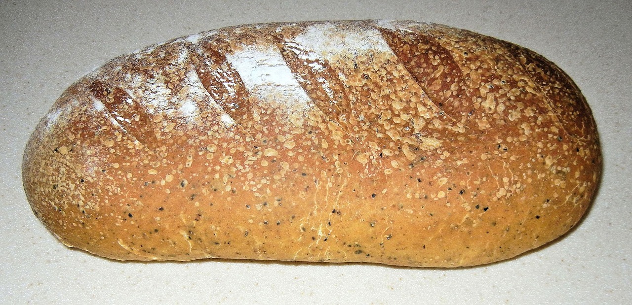 bread olive oil oregano free photo