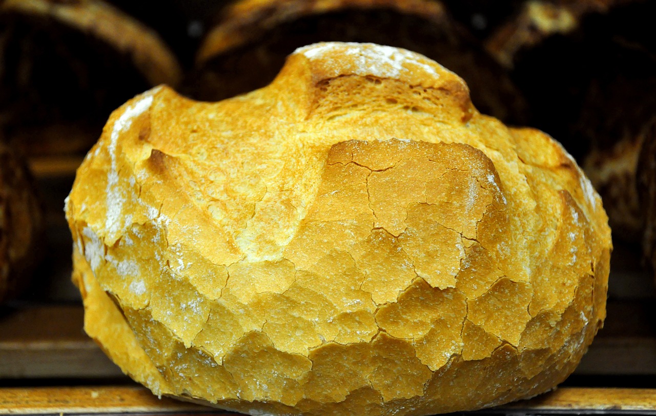 bread round pastries free photo