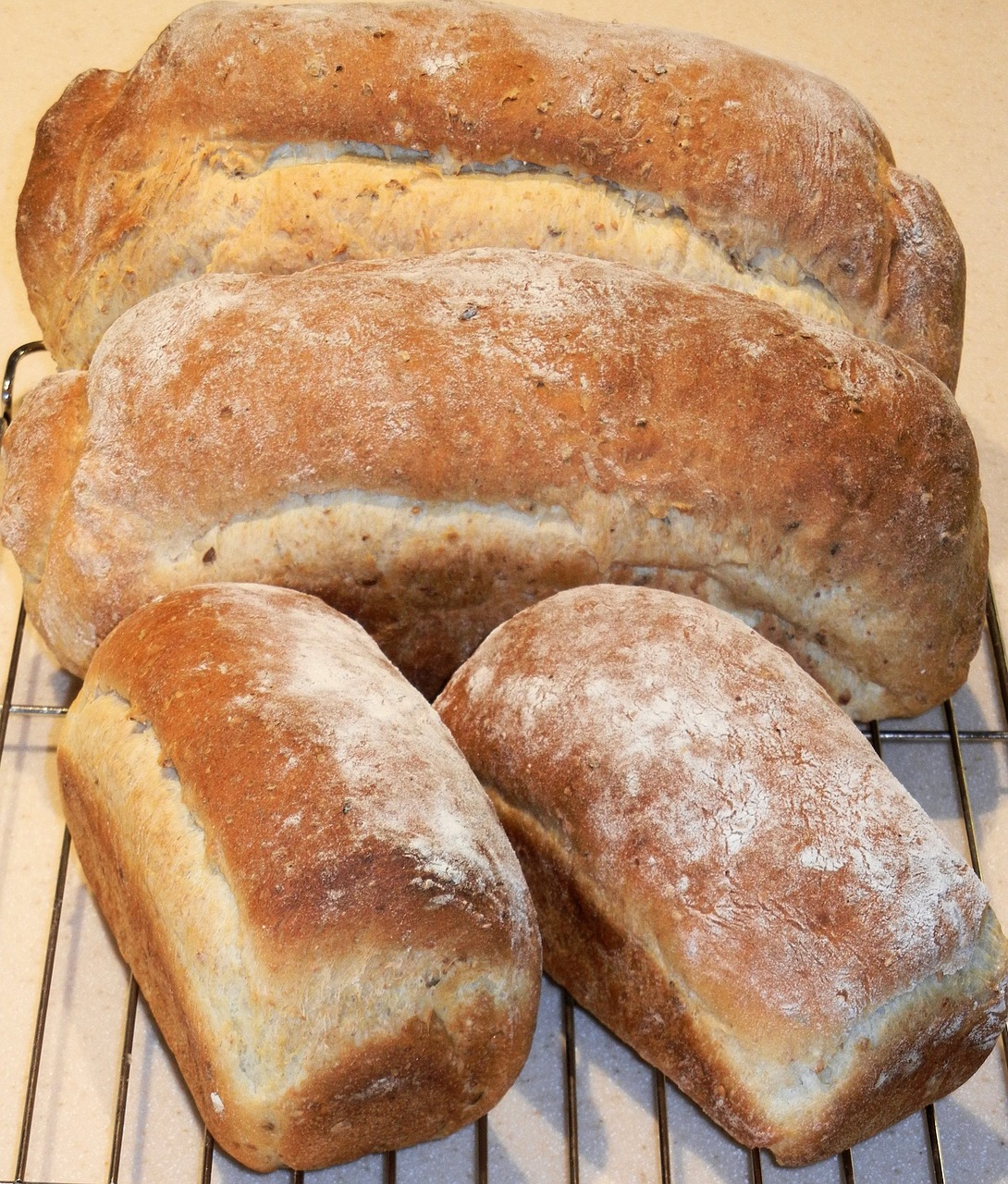 bread multi grain corn free photo