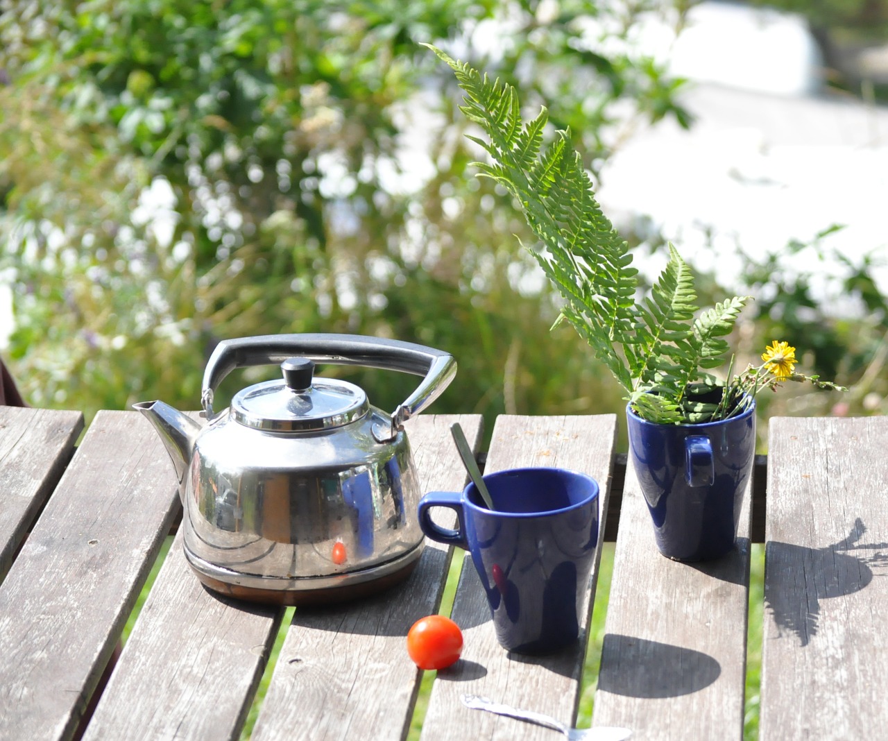 breakfast camping teapot free photo