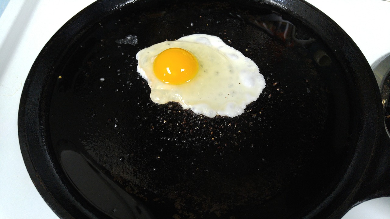 breakfast fried egg free photo