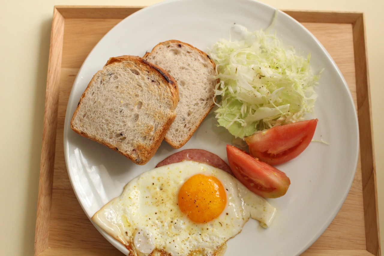 breakfast brown rice bread fried egg free photo