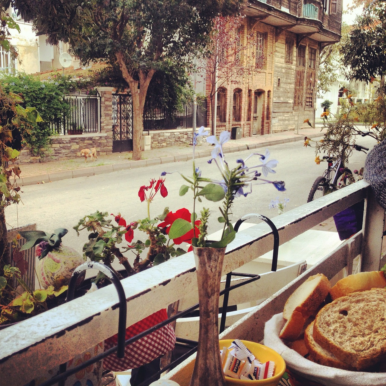 breakfast street istanbul free photo