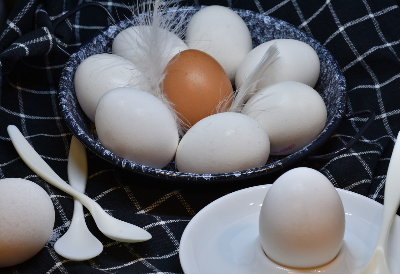 breakfast egg food free photo