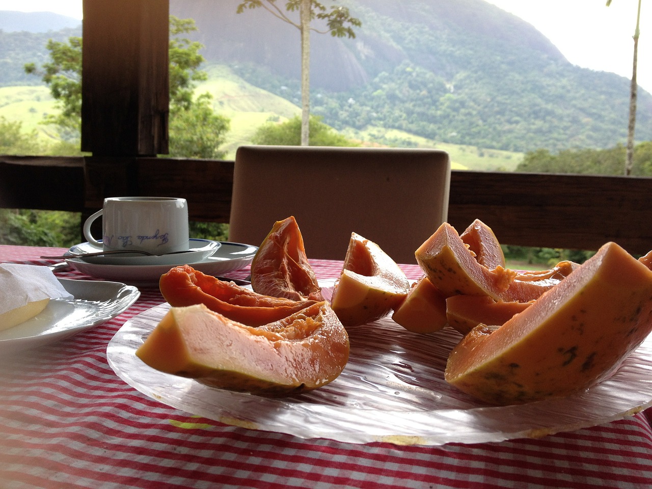 breakfast papaya futa free photo