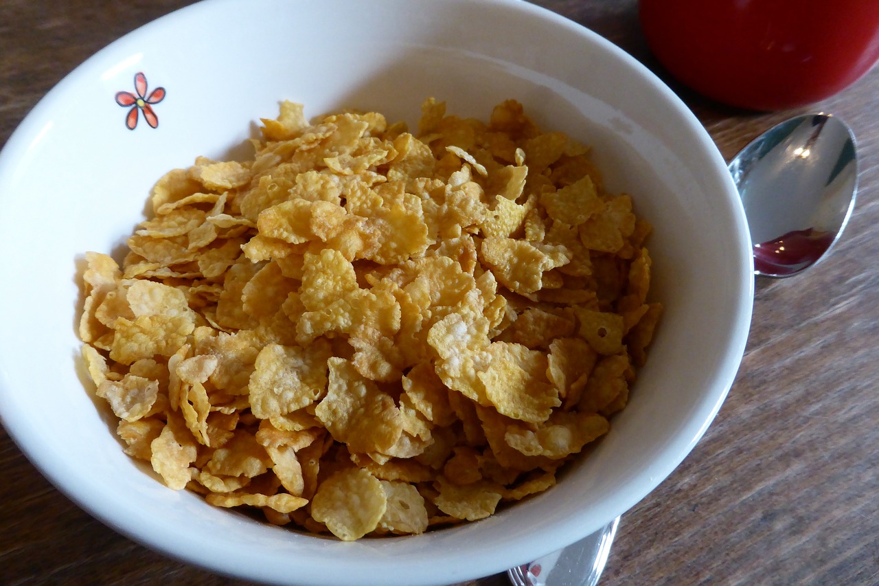 breakfast cornflakes cereal bowl free photo