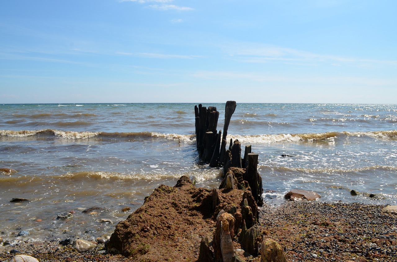 breakwater beach sea free photo