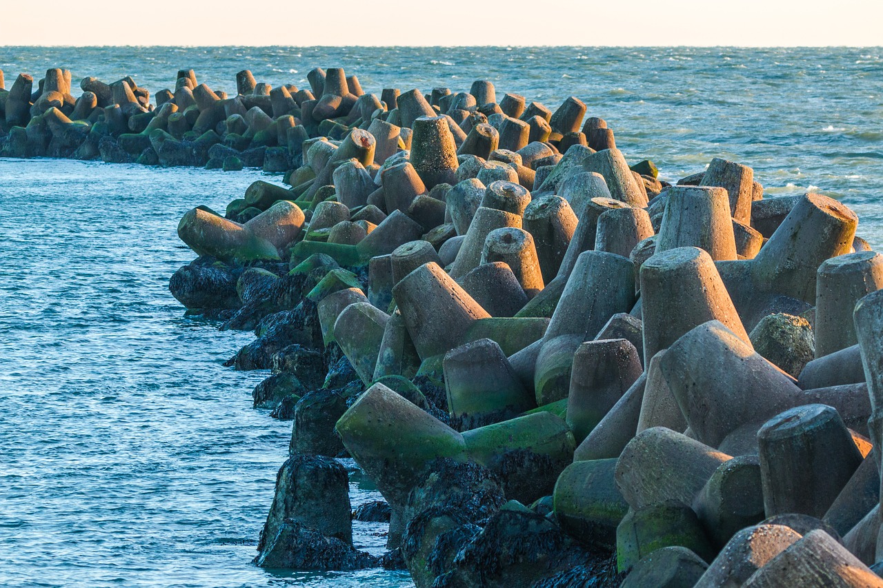 breakwater concrete sea free photo