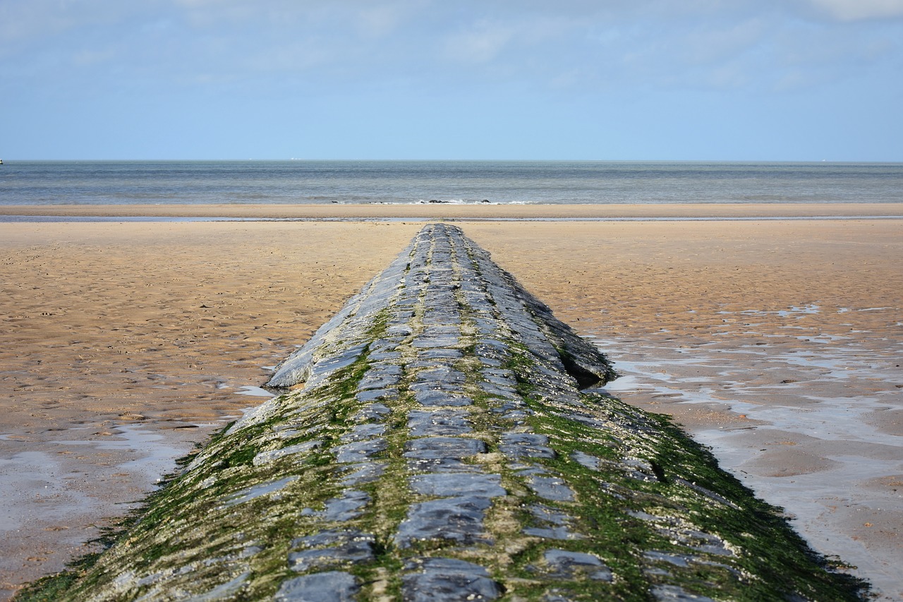 breakwater beach nature free photo