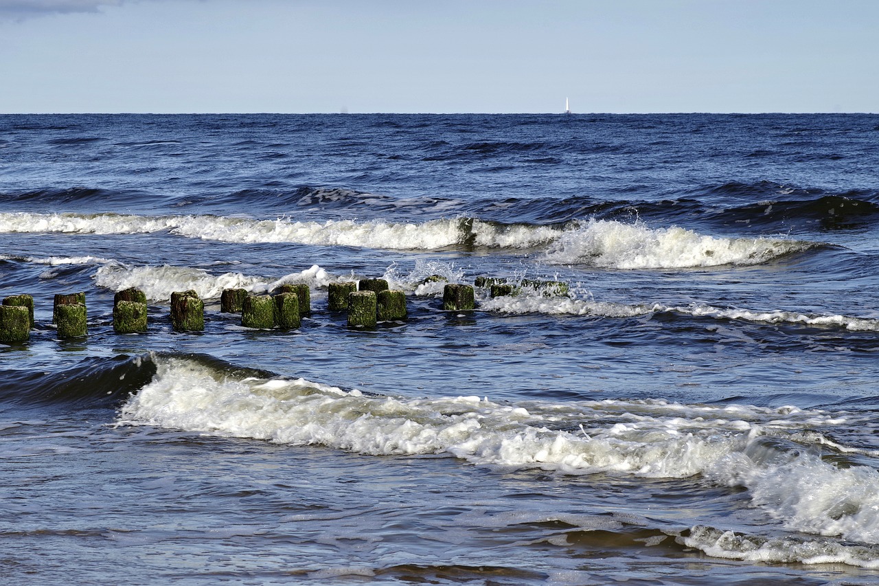 breakwater sea the waves free photo