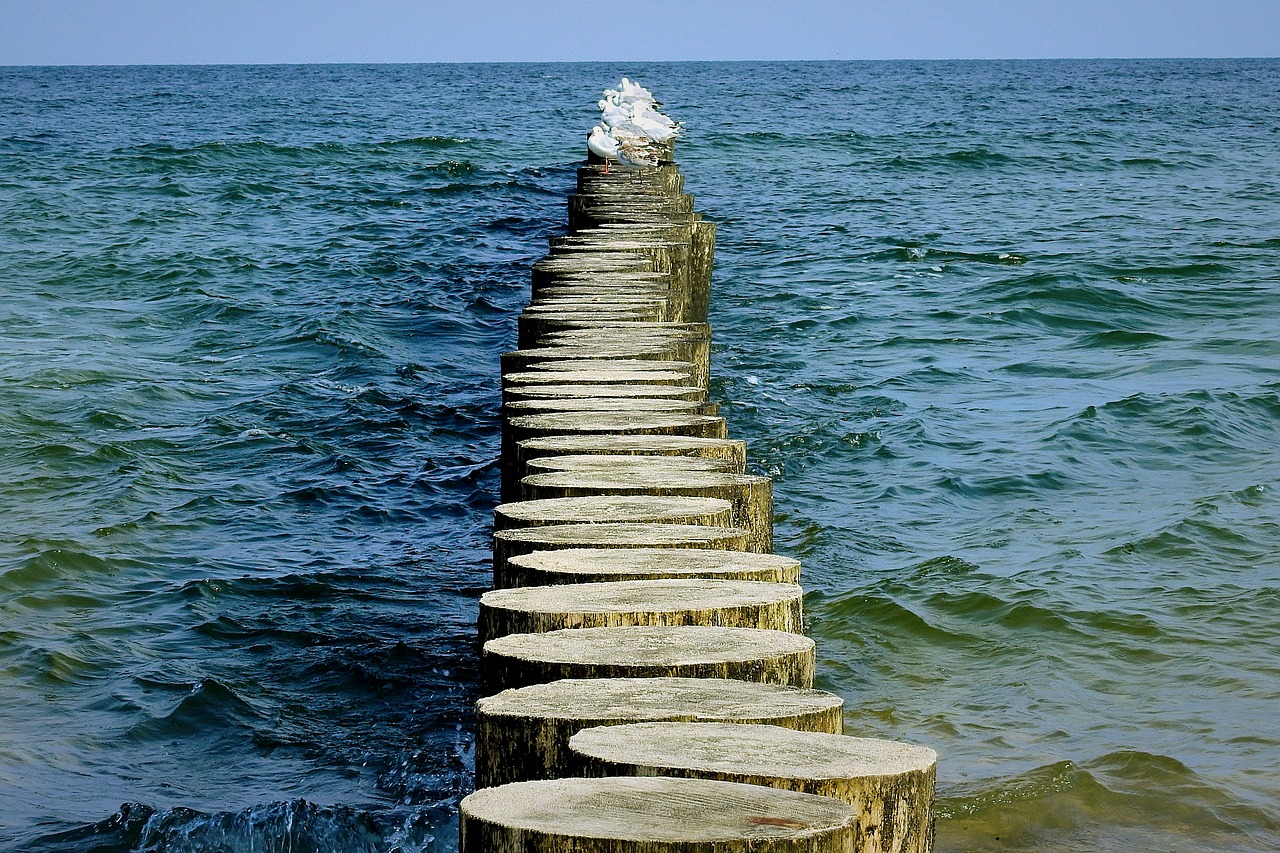 breakwater  sea  the waves free photo